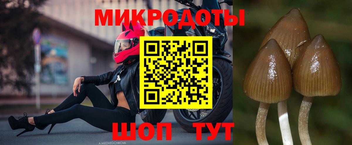 Псилоцибиновые грибы мицелий  Вход с VPN  Кольчугино  Галлюциногенные грибы Cubensis 